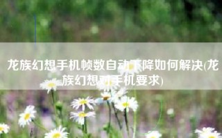 龙族幻想手机帧数自动下降如何解决(龙族幻想对手机要求)