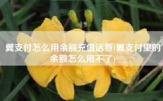 翼支付怎么用余额充值话费(翼支付里的余额怎么用不了)