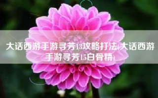 大话西游手游寻芳13攻略打法(大话西游手游寻芳15白骨精)