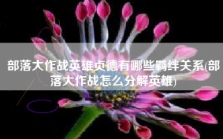 部落大作战英雄贞德有哪些羁绊关系(部落大作战怎么分解英雄)