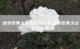 迷你世界火山地形码分享(迷你世界火山地形坐标)