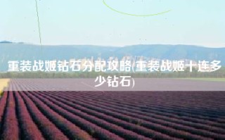 重装战姬钻石分配攻略(重装战姬十连多少钻石)