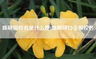陈晓报校名是什么梗(陈晓绕口令报校名)