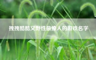 拽拽酷酷又野性最撩人的游戏名字