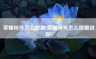 荣耀称号怎么隐藏(荣耀称号怎么隐藏战区)