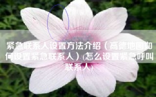 紧急联系人设置方法介绍（高德地图如何设置紧急联系人）(怎么设置紧急呼叫联系人)