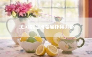见习猎魔团魔晶作用介绍