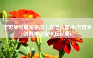 宝可梦剑盾帽子皮卡丘怎么获得(宝可梦剑盾帽子皮卡丘过期)