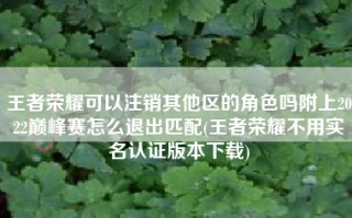 王者荣耀可以注销其他区的角色吗附上2022巅峰赛怎么退出匹配(王者荣耀不用实名认证版本下载)