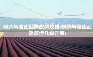创造与魔法武器改造攻略(创造与魔法武器改造几级开放)