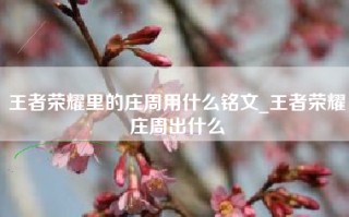 王者荣耀里的庄周用什么铭文_王者荣耀庄周出什么