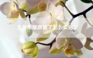 王者荣耀跟新了怎么卖铭文