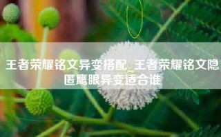 王者荣耀铭文异变搭配_王者荣耀铭文隐匿鹰眼异变适合谁
