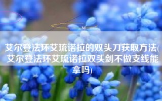 艾尔登法环艾琉诺拉的双头刀获取方法(艾尔登法环艾琉诺拉双头剑不做支线能拿吗)
