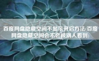 百度网盘隐藏空间不显示开启方法(百度网盘隐藏空间会不会被别人看到)