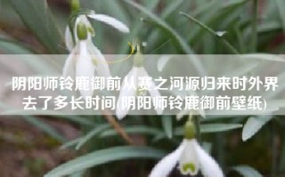 阴阳师铃鹿御前从赛之河源归来时外界去了多长时间(阴阳师铃鹿御前壁纸)