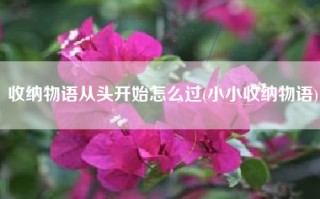 收纳物语从头开始怎么过(小小收纳物语)