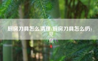 厨房刀具怎么清理(厨房刀具怎么扔)