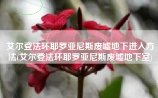 艾尔登法环耶罗亚尼斯废墟地下进入方法(艾尔登法环耶罗亚尼斯废墟地下室)