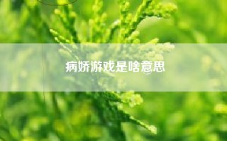 病娇游戏是啥意思