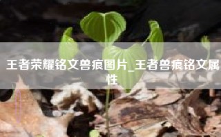 王者荣耀铭文兽痕图片_王者兽痕铭文属性
