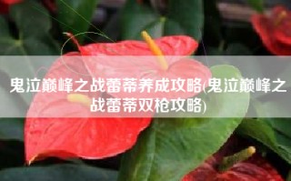 鬼泣巅峰之战蕾蒂养成攻略(鬼泣巅峰之战蕾蒂双枪攻略)