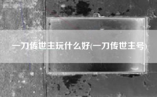 一刀传世主玩什么好(一刀传世主号)