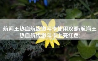 航海王热血航线激斗卡使用攻略(航海王热血航线激斗卡上亮红色)