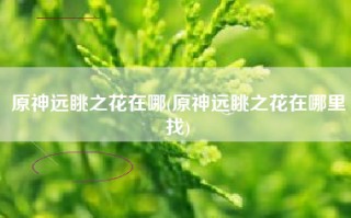原神远眺之花在哪(原神远眺之花在哪里找)