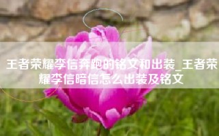 王者荣耀李信奔跑的铭文和出装_王者荣耀李信暗信怎么出装及铭文