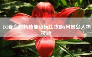 风暴岛凯特技能及玩法攻略(风暴岛人物技能)