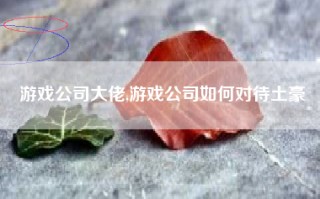 游戏公司大佬,游戏公司如何对待土豪