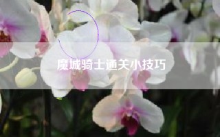 魔城骑士通关小技巧