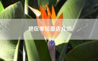 绝区零拉面店介绍