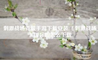 刺激战场亚服手游下载安装,《刺激战场》国际服怎么下载