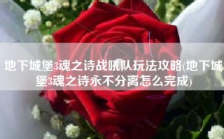 地下城堡3魂之诗战吼队玩法攻略(地下城堡3魂之诗永不分离怎么完成)