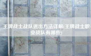 王牌战士战队退出方法详解(王牌战士职业战队有哪些)