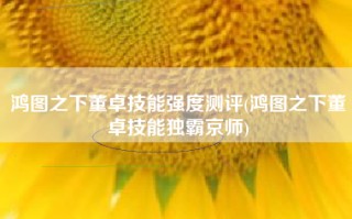 鸿图之下董卓技能强度测评(鸿图之下董卓技能独霸京师)