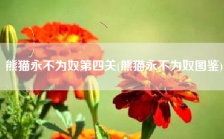 熊猫永不为奴第四关(熊猫永不为奴图鉴)