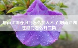 烟雨江湖苍狼门怎么加入不了(烟雨江湖苍狼门怎么升二阶)