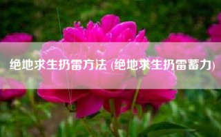 绝地求生扔雷方法 (绝地求生扔雷蓄力)