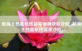 航海王热血航线蔬菜咖喱获取攻略 (航海王热血航线蔬菜沙拉)