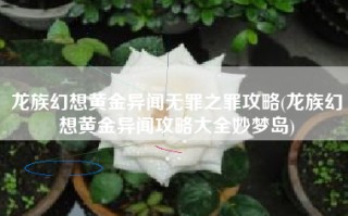 龙族幻想黄金异闻无罪之罪攻略(龙族幻想黄金异闻攻略大全妙梦岛)