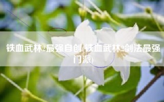 铁血武林2最强自创(铁血武林2剑法最强门派)