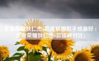 王者荣耀狄仁杰6款皮肤哪款手感最好 (王者荣耀狄仁杰6款皮肤对比)