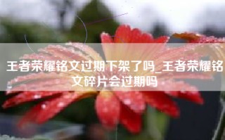 王者荣耀铭文过期下架了吗_王者荣耀铭文碎片会过期吗