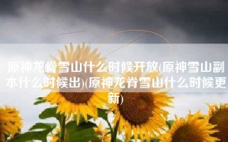 原神龙脊雪山什么时候开放(原神雪山副本什么时候出)(原神龙脊雪山什么时候更新)