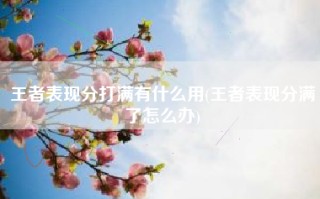 王者表现分打满有什么用(王者表现分满了怎么办)