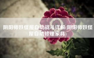 阴阳师妖怪屋自动战斗详解(阴阳师妖怪屋自动修理家具)