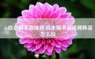 zh自走棋手游阵容,自走棋手游法师阵容怎么玩